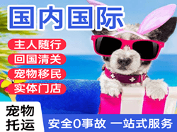 抚远空运代理国际宠物托运 【国